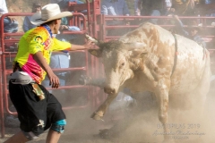 Annual Rodeo