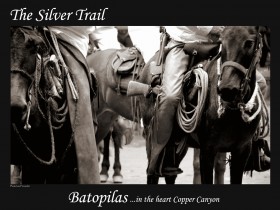 The Silver Trail Continues